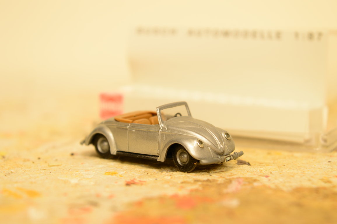 DSC_3946 (FILEminimizer).JPG