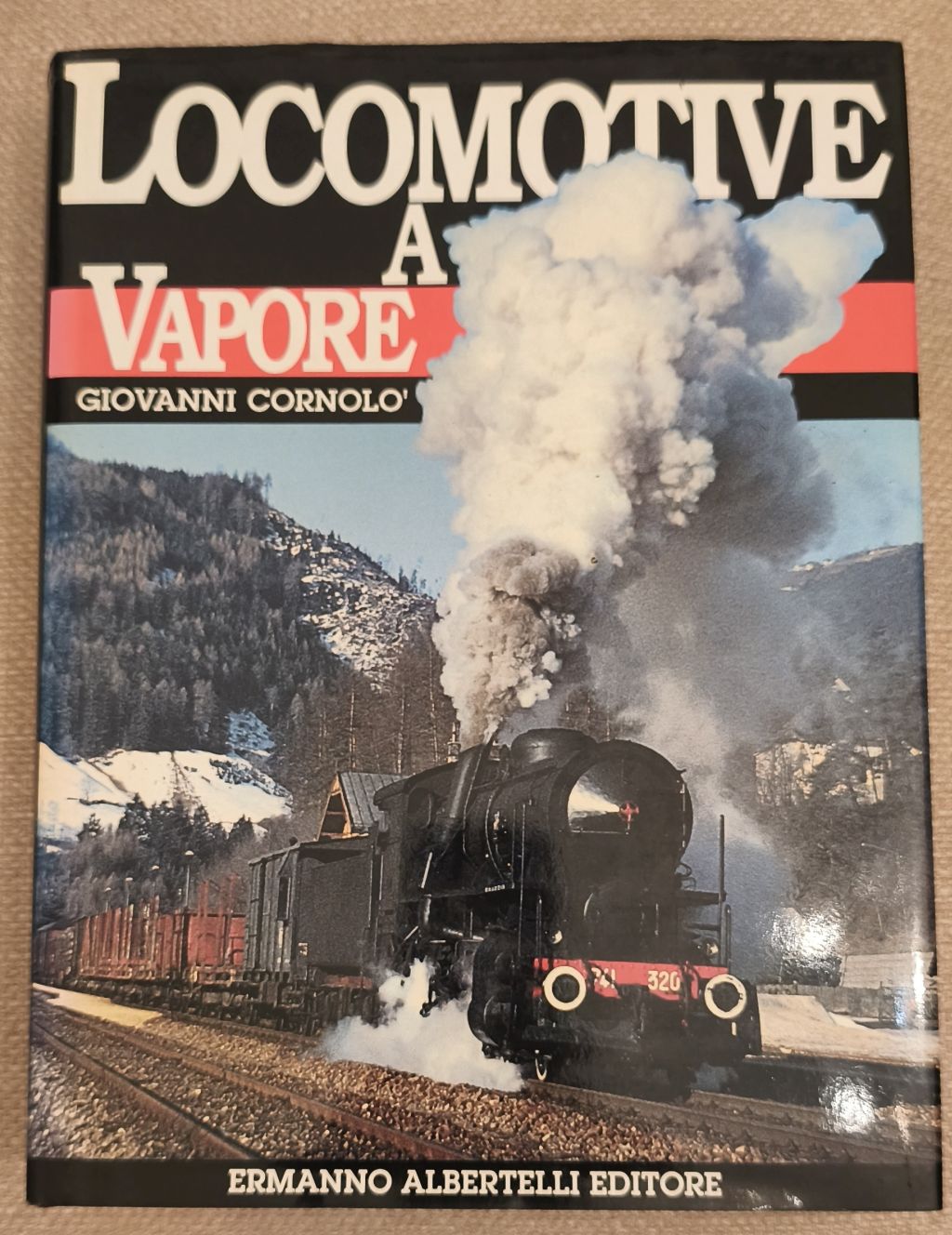 Locomotive a vapore.jpg