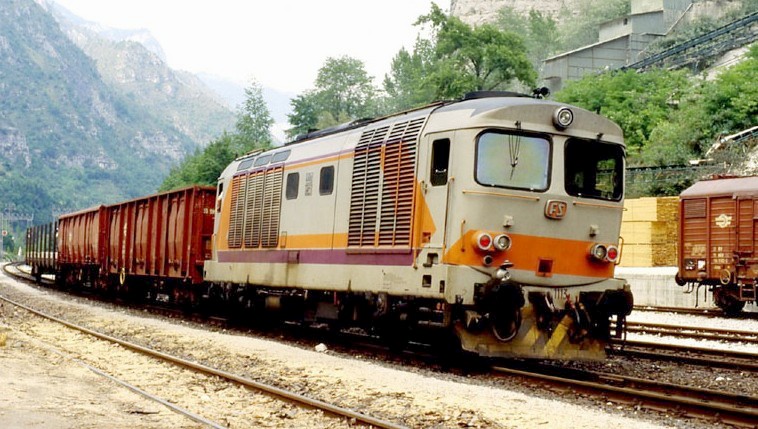 D 445 1113 con merci Carpanè 15.05.92.jpg