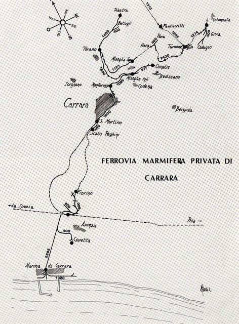 lamarmifera013r.jpg