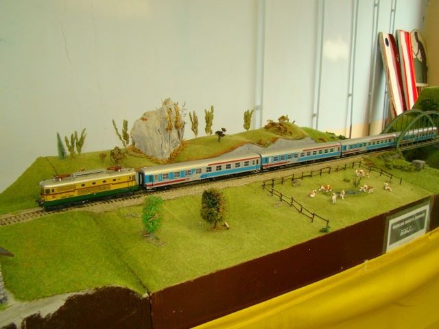 dsc05063v.jpg