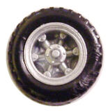 cercgi posteriori.jpg