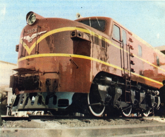 Copia di Alco Australia.jpg