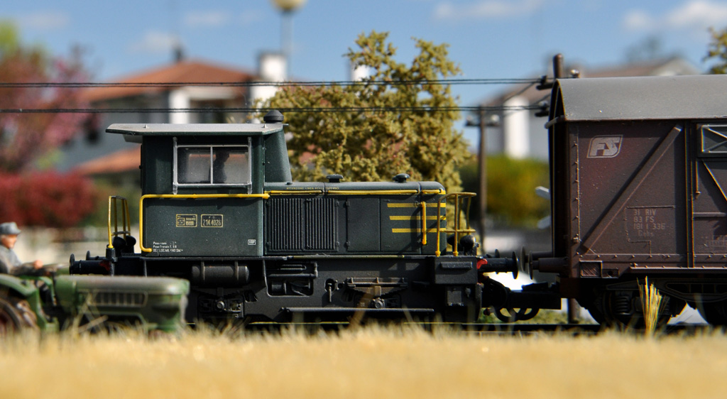 DSC_0114m1.jpg