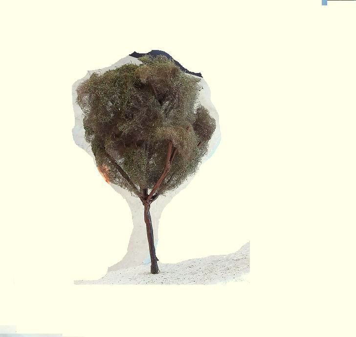 DSCF2934.JPG