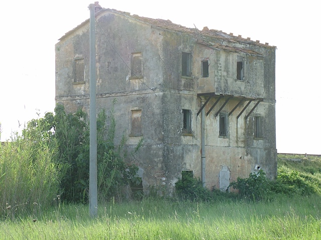 DSCF7679.jpg