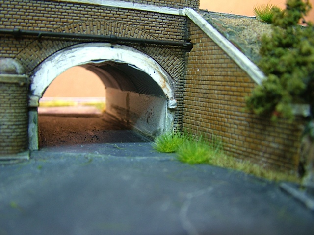 DSCF7795.jpg
