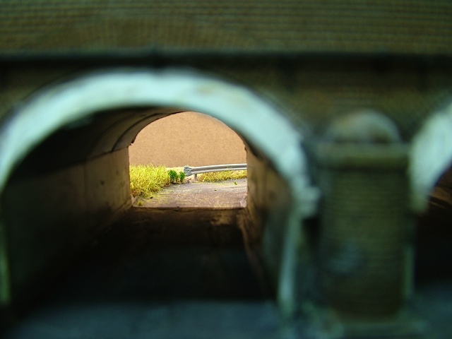 DSCF7794.jpg