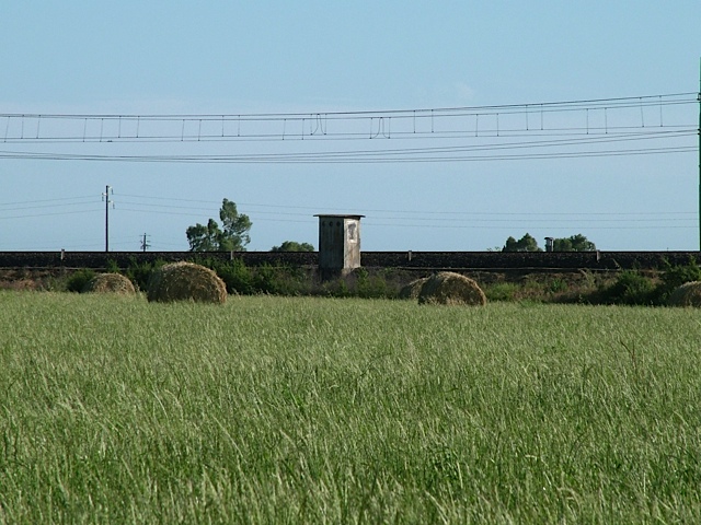 DSCF7719.jpg