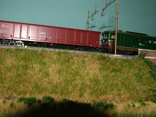 DSCF7925.jpg