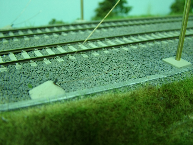 DSCF7929.jpg