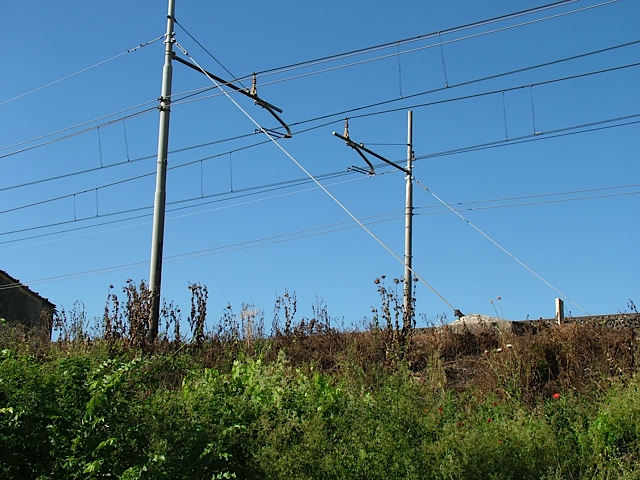 DSCF7726.jpg