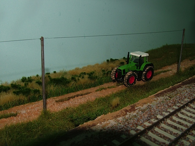DSCF8071.jpg