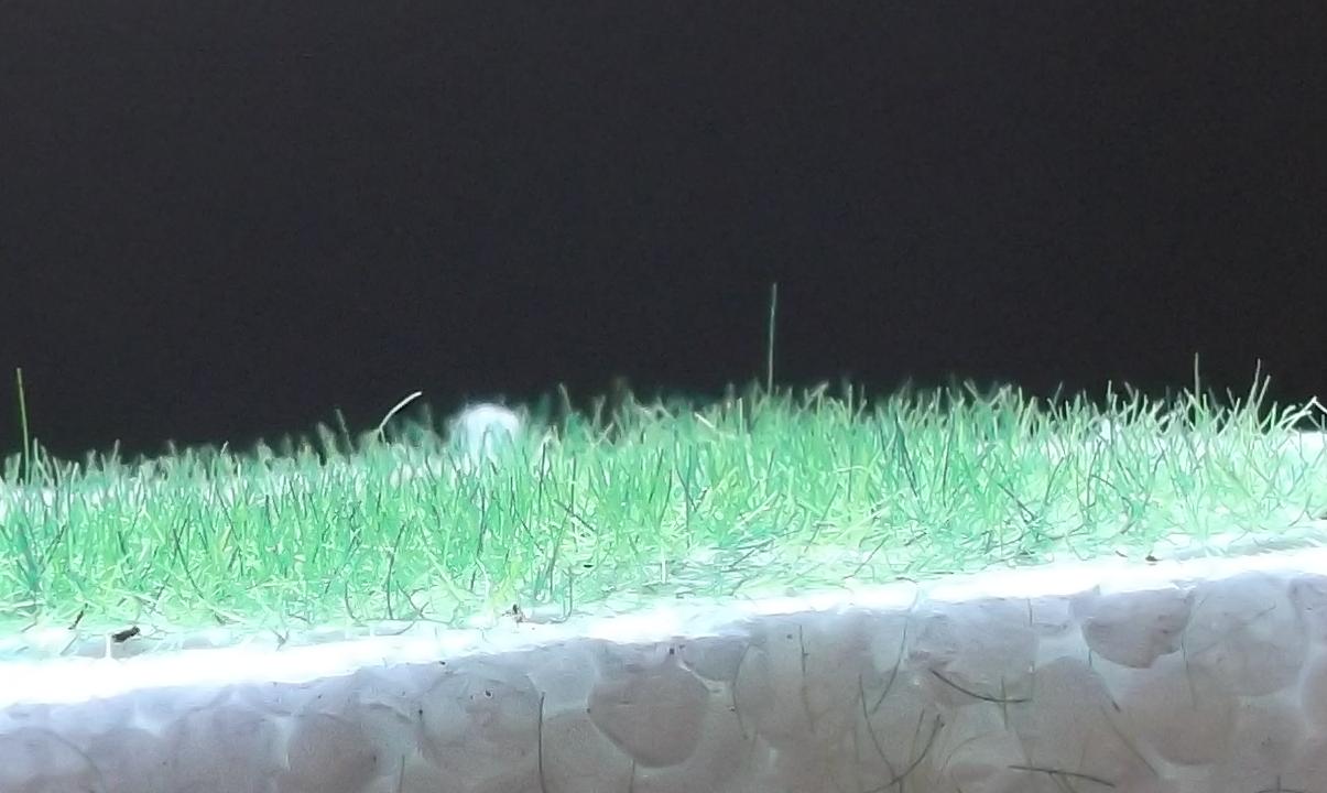 DSCF3110.JPG