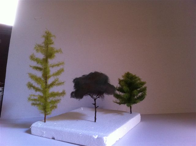 alberi 001.jpg