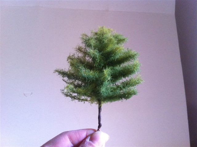 alberi 005.jpg