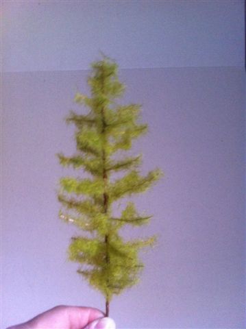 alberi 007.jpg