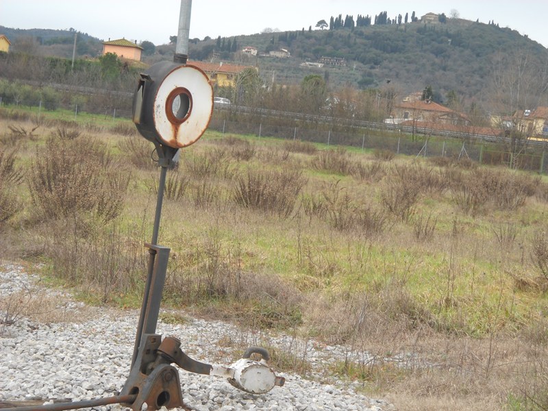 foto mie 150.jpg