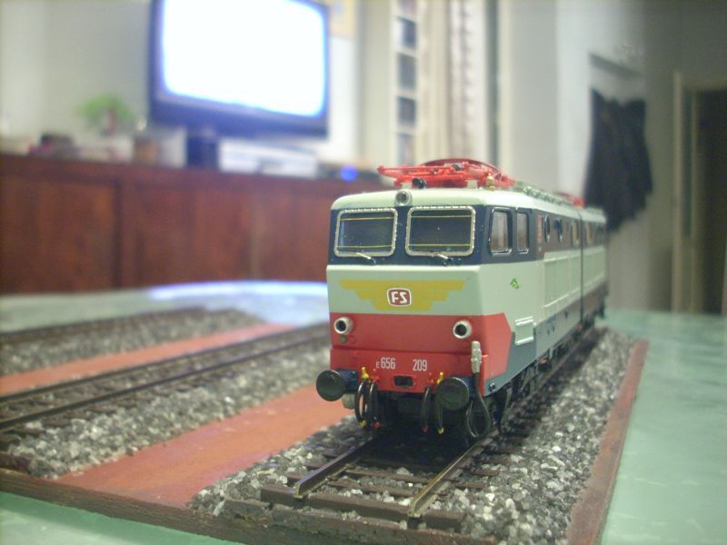 DSCN9503.JPG