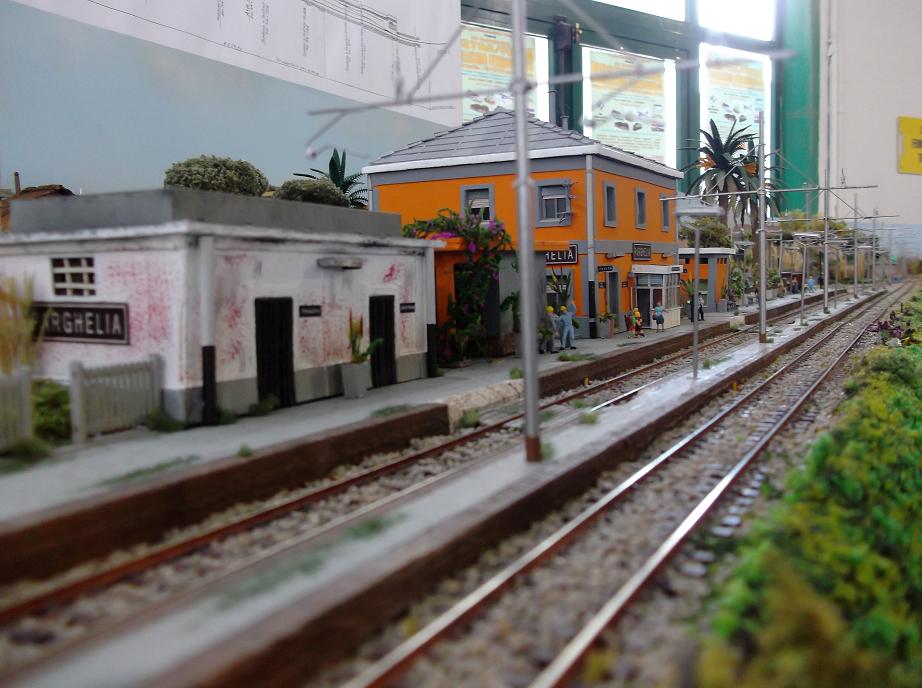 08.jpg