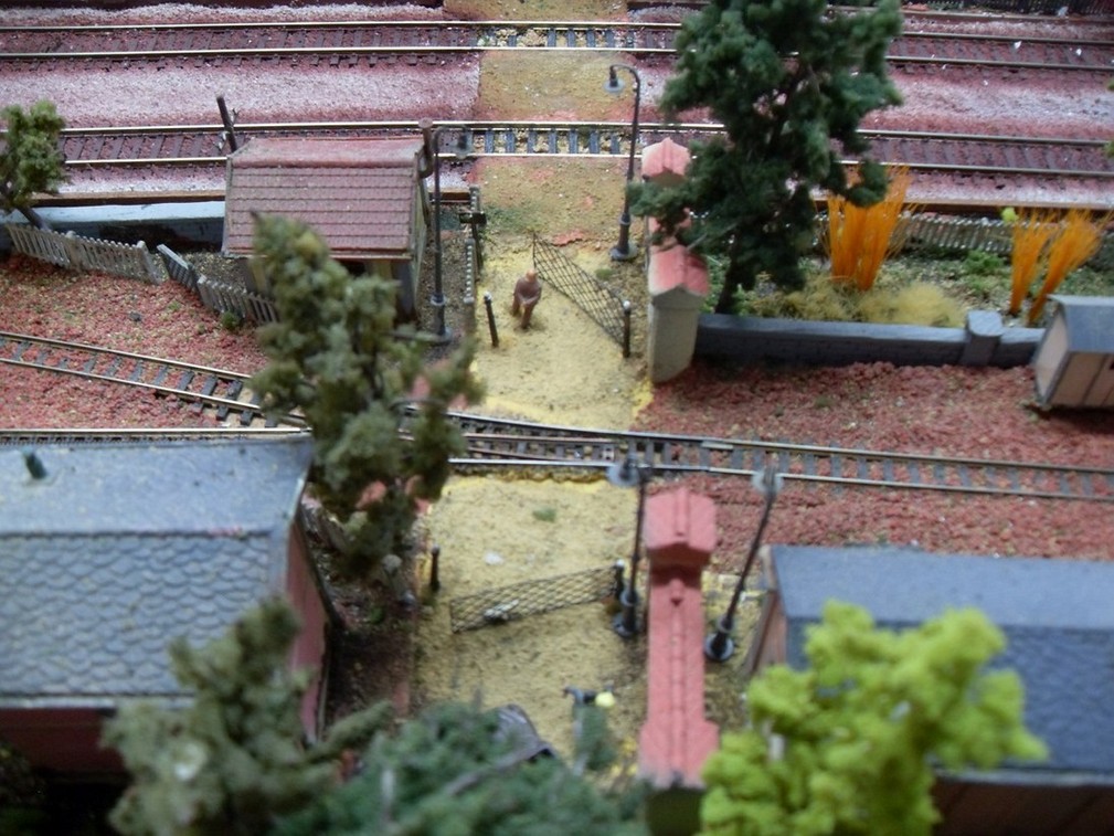 SDC12309 (Copia) (Copia) (Copia).JPG