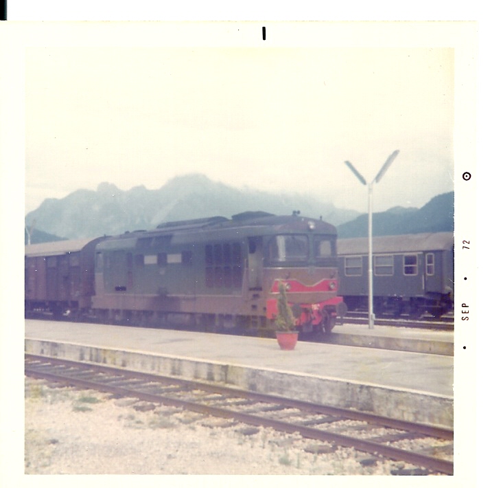 D343.jpg