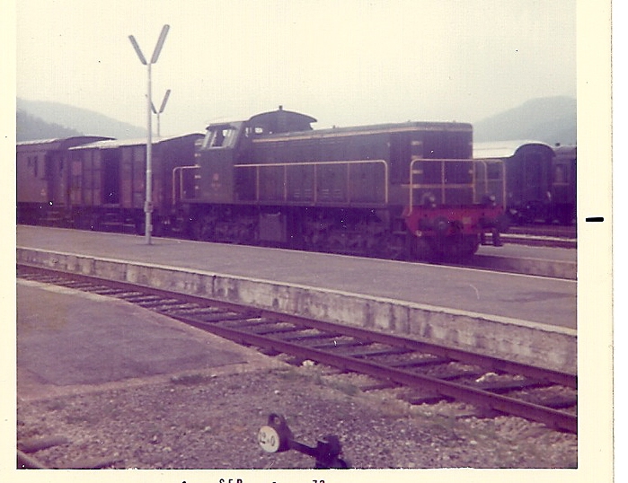 D141.jpg