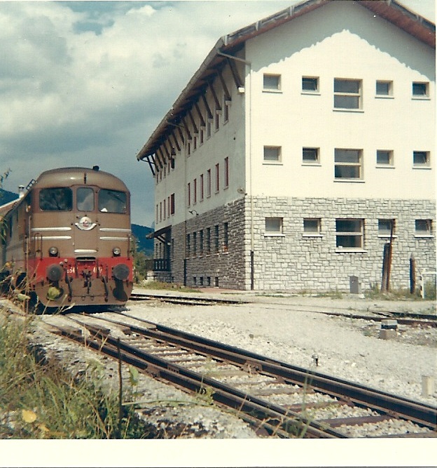 D342.jpg