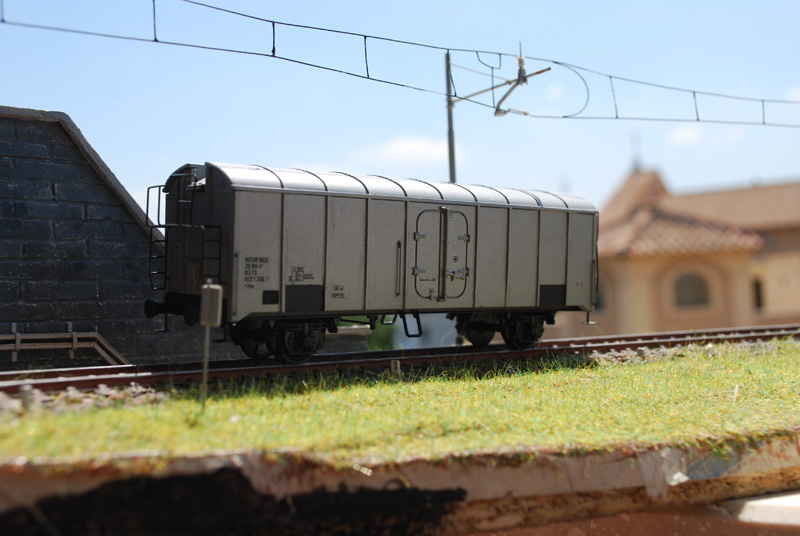 DSC_0017.jpg
