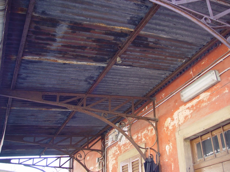 DSC06854.JPG