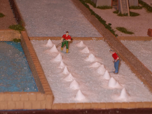 Salinari.jpg