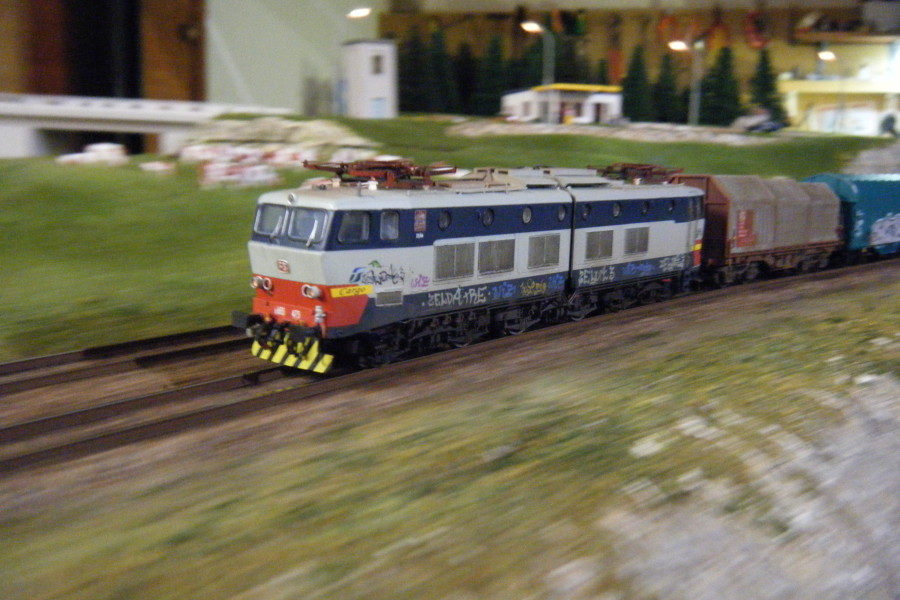E655-473-DLF.JPG