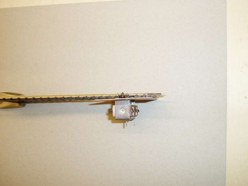 P1200085 [800x600].JPG