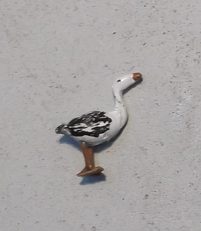 DSCF4387.JPG