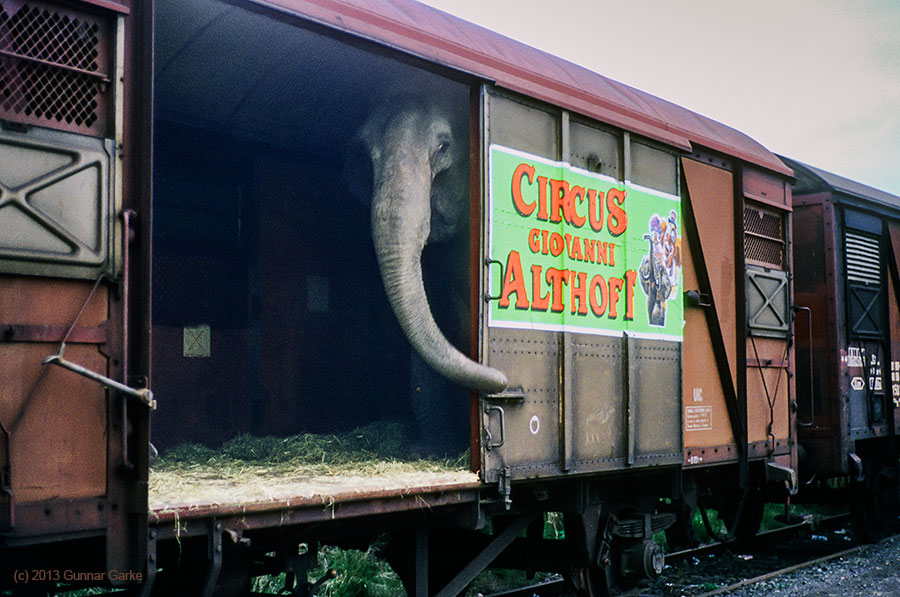 FS-Gbs-Circo-Braunschweig-1994-10-16-00.jpg