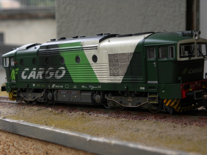 DSCN5508.JPG