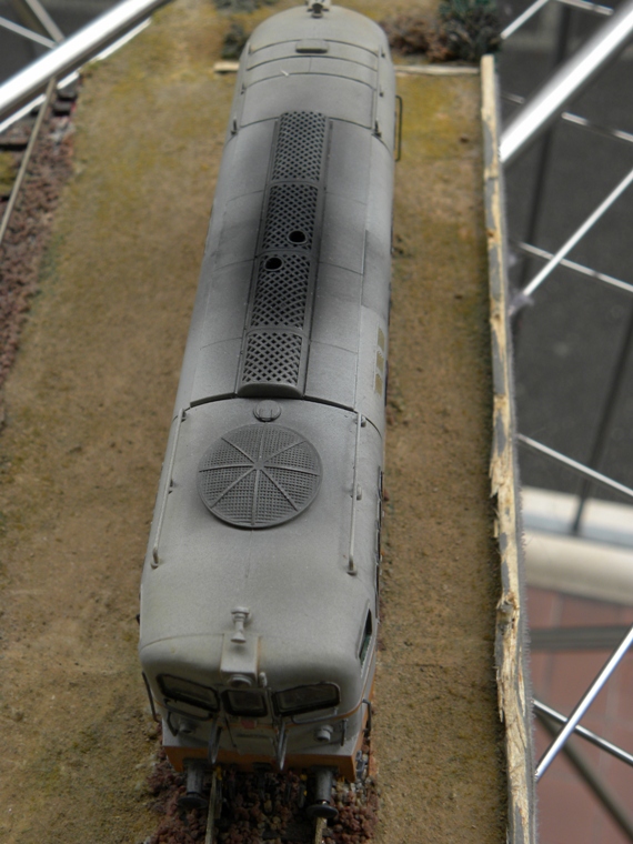 DSCN5526.JPG
