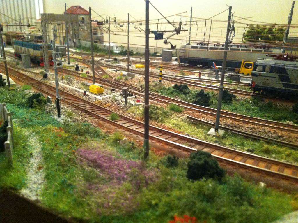 raccolta iphone dicembre 2013 342.JPG