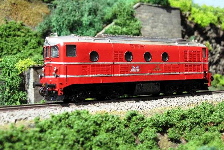 D 341 SALCEF 18.JPG