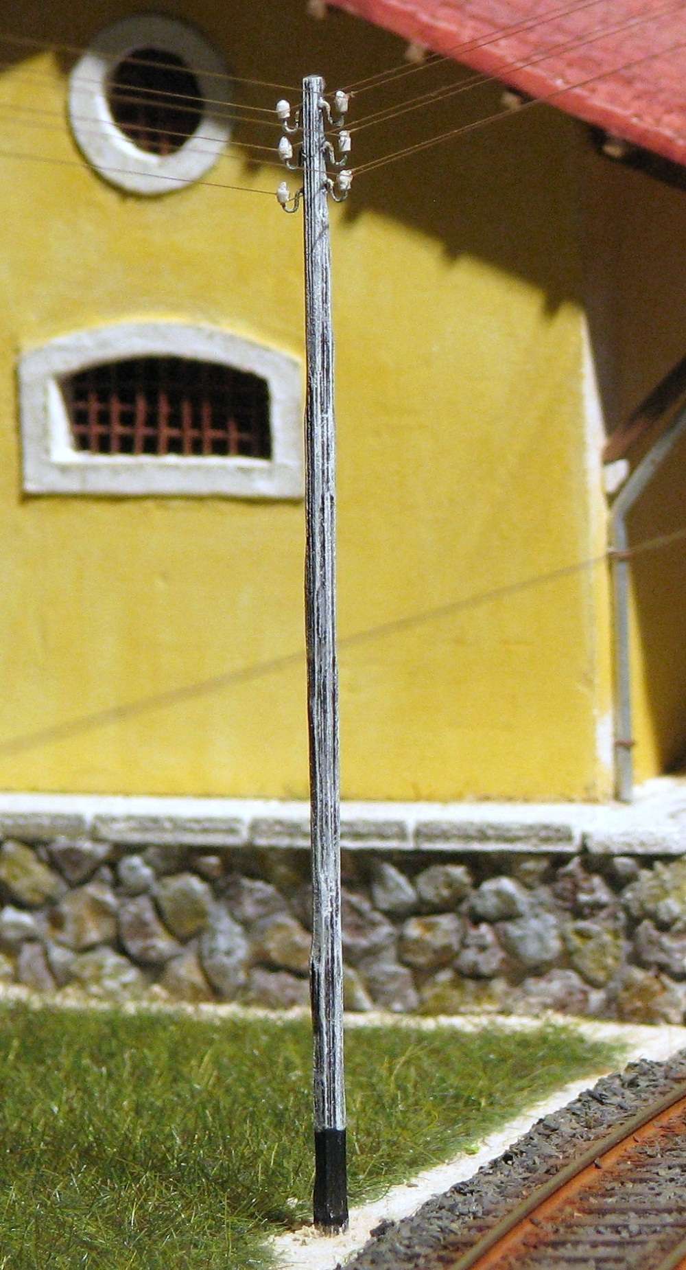 Palo R.JPG