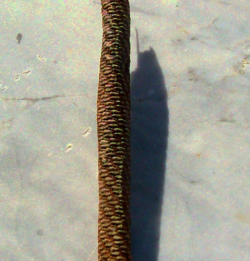 HPIM0125.JPG