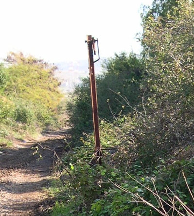 DSCN0711 m.JPG