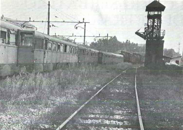 caricatore treviso foto Salbe.jpg