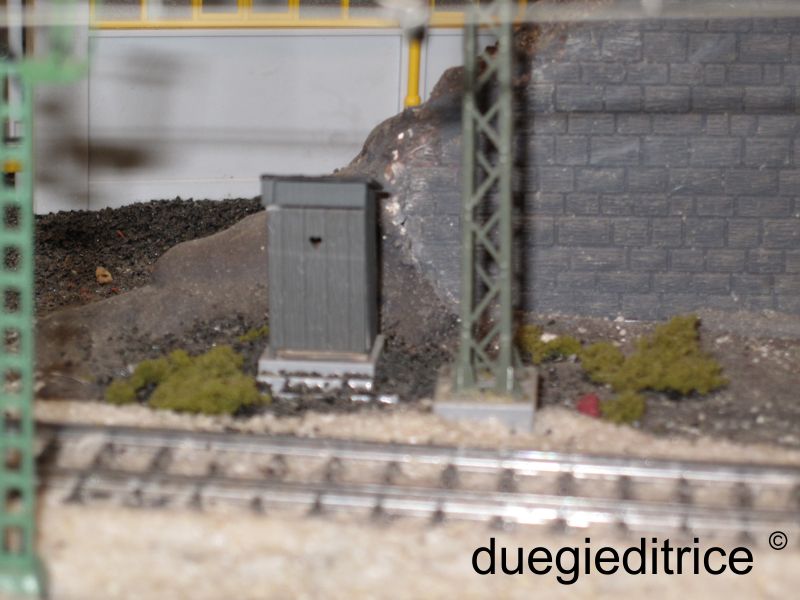 IMG_3164_rid.jpg