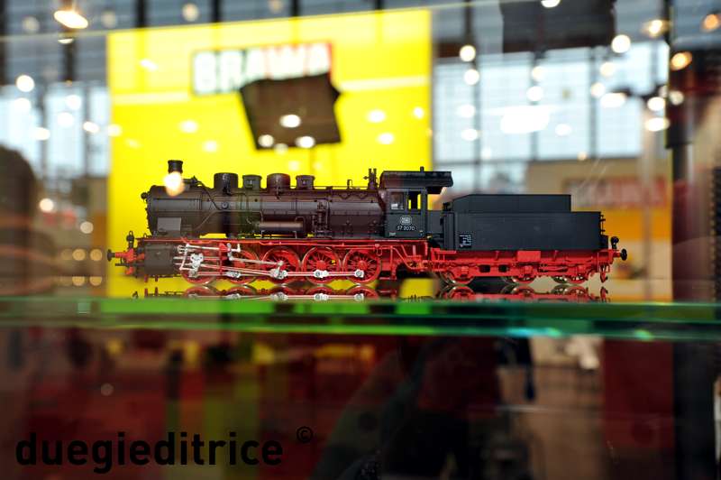 DSC_8646_rid.jpg