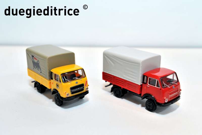DSC_8764_rid.jpg