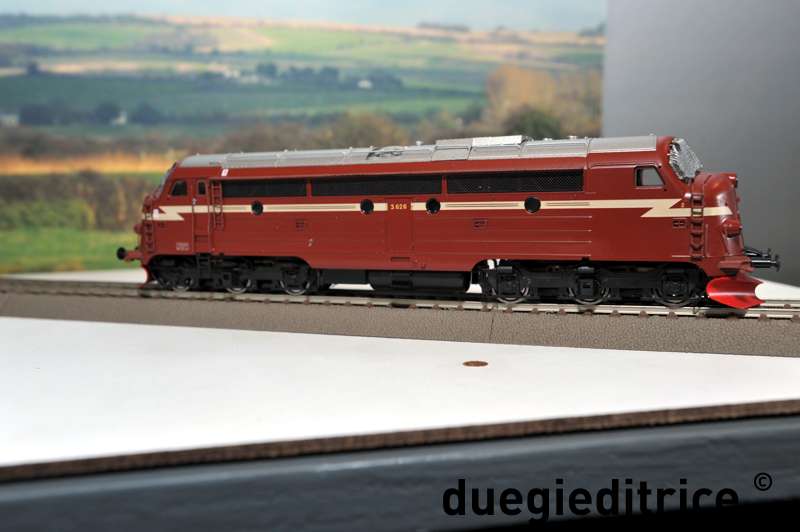 DSC_8770_rid.jpg