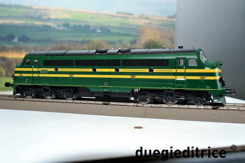 DSC_8771_rid.jpg