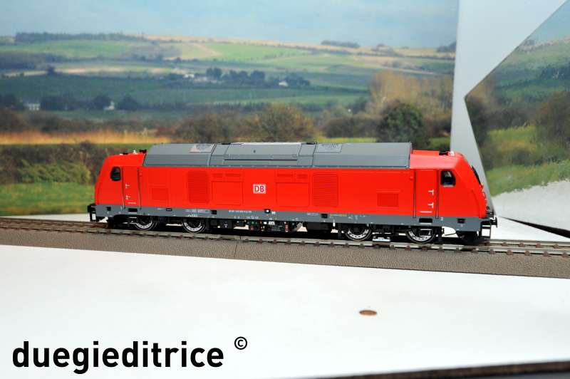 DSC_8786_rid.jpg