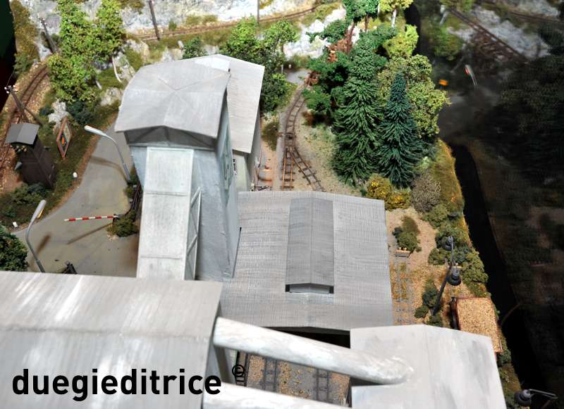 DSC_8825_rid.jpg